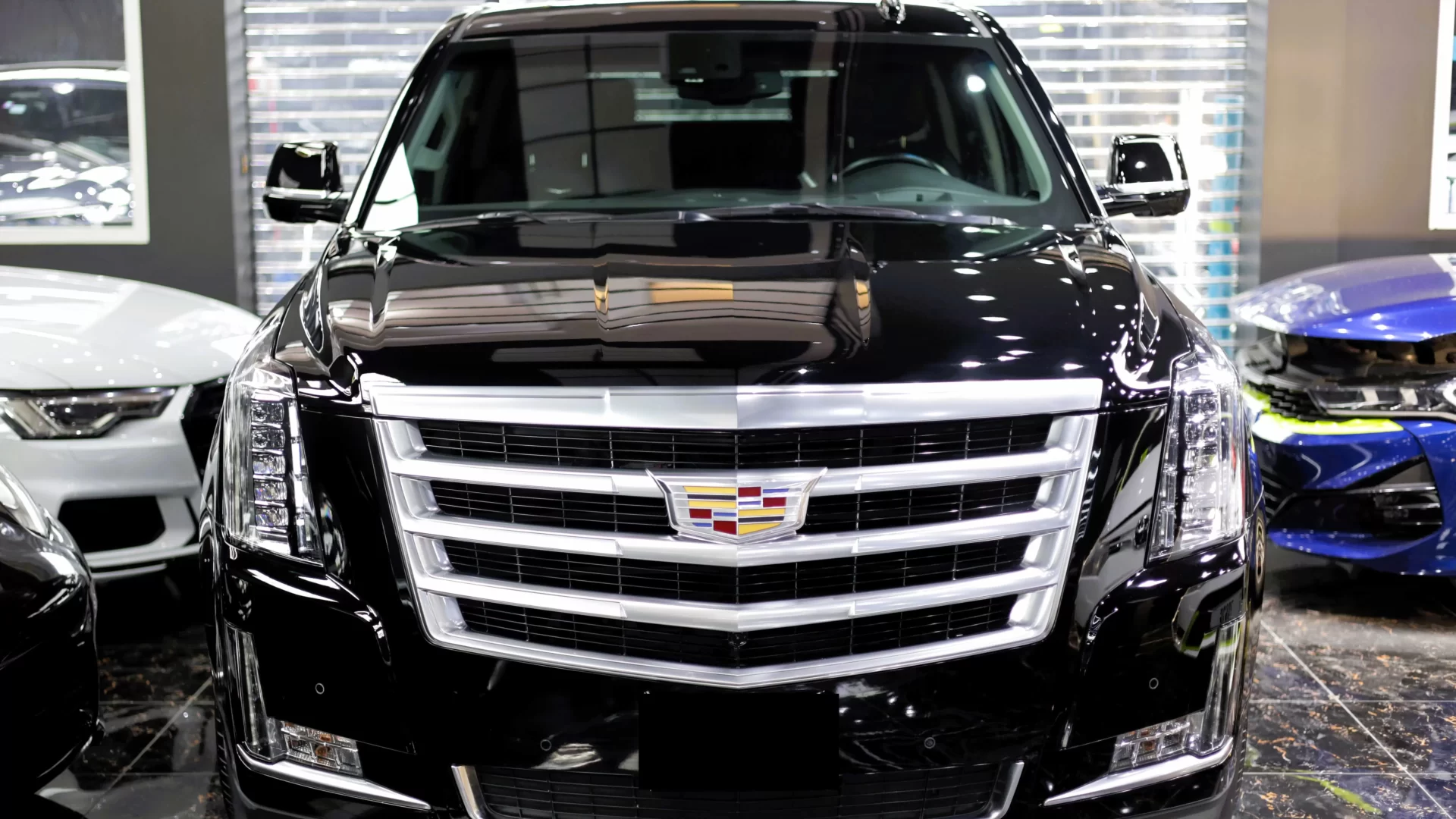 полировка 23