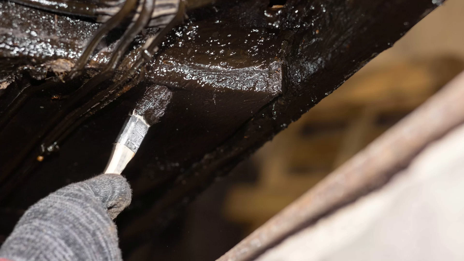 مقاومة الصدأ في السيارة 2