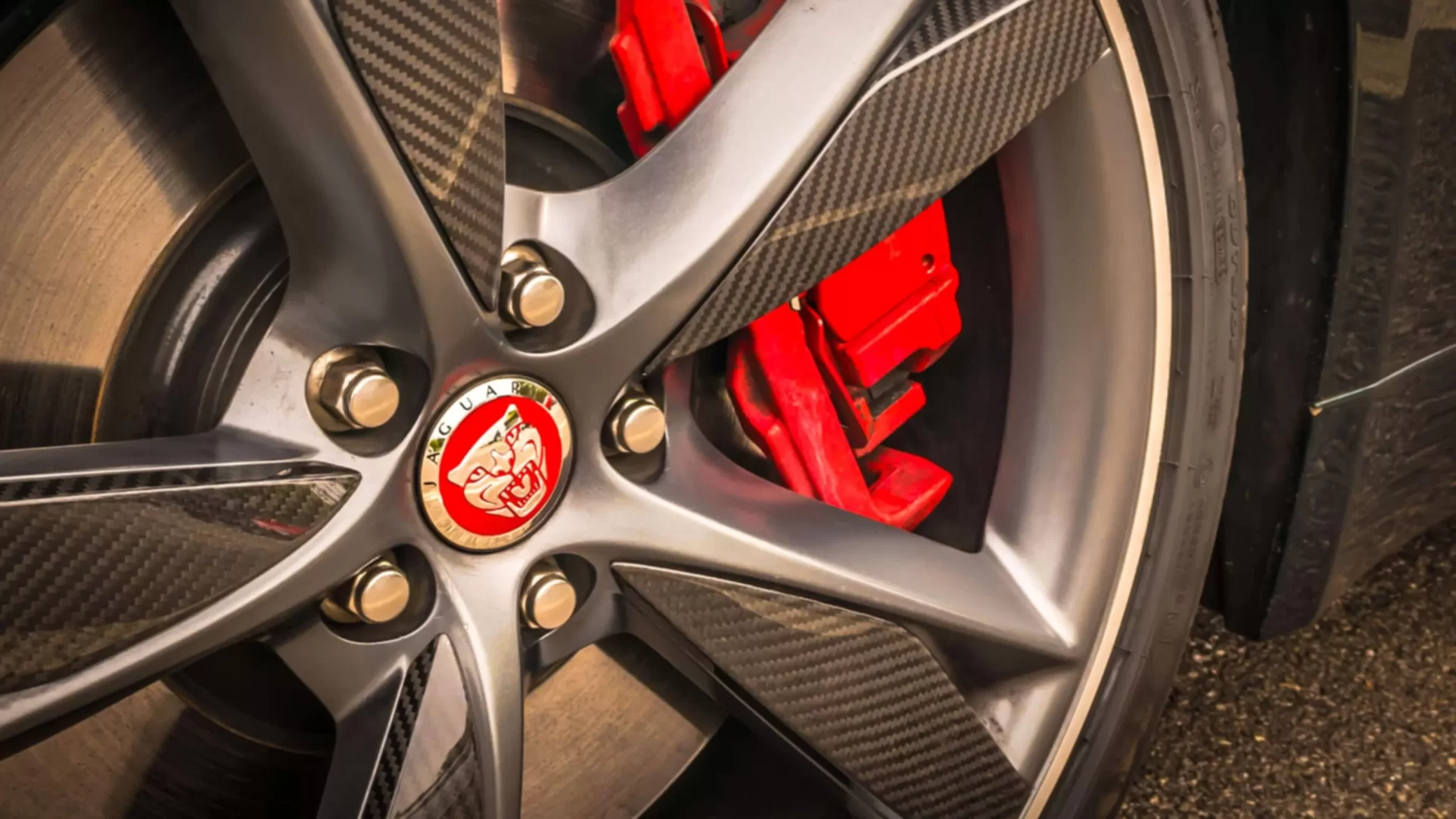 ألياف الكربون 14